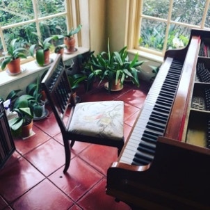 A beautiful Mason & Hamlin grand piano with a chair in a sun room surrounded by various orchids. 